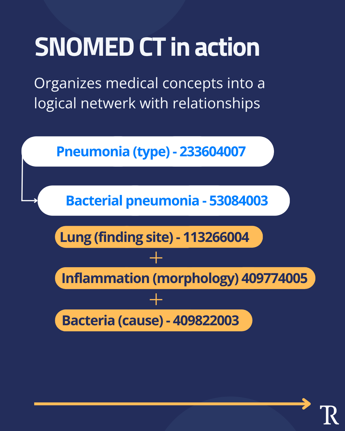 Snomed ct